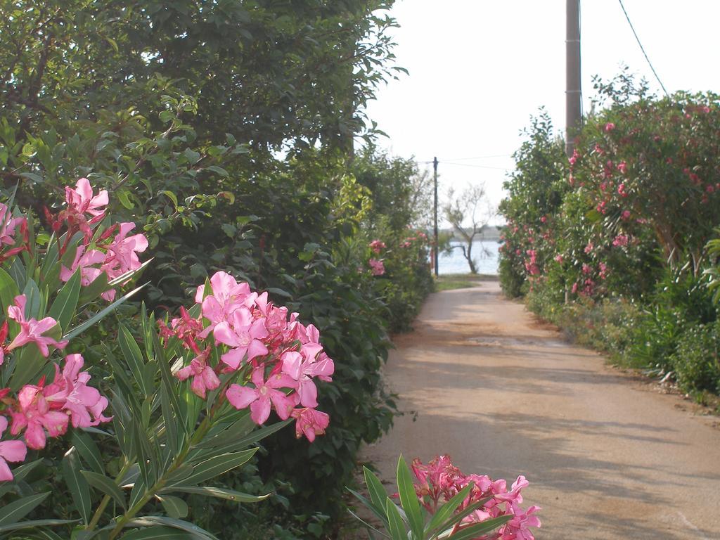 נין Holiday House Zaton מראה חיצוני תמונה