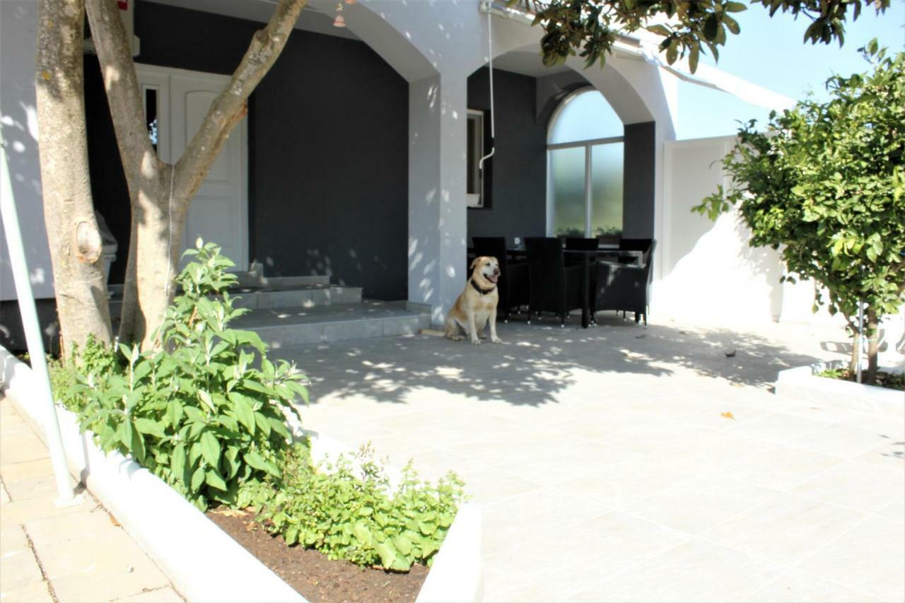 נין Holiday House Zaton מראה חיצוני תמונה